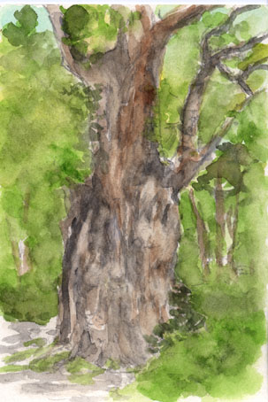 今朝の水彩画 / Today's Water Color